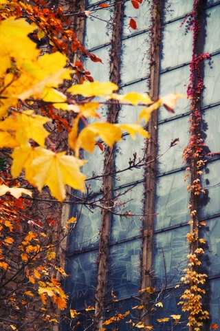 Illustration for article titled 611 Reasons Fall Is the Most Beautiful Season of All